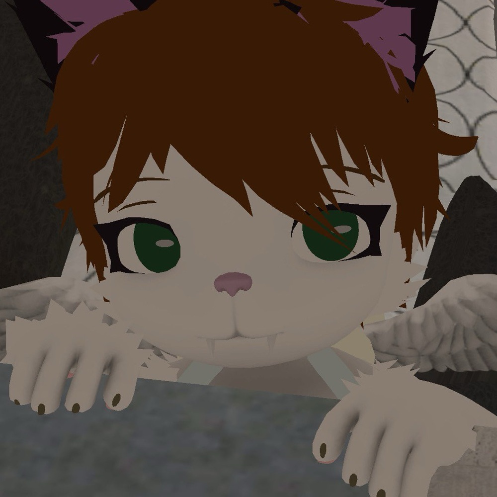 Meet your Posher, Shayne